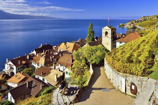 View of St. Saphorin in autumn, view of Lavaux and Lake Geneva, UNESCO World Heritage Site, Canton Vaud, Switzerland