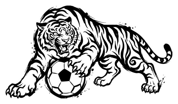 Powerful roaring tiger attacking a soccer ball in dynamic graphic mascot style