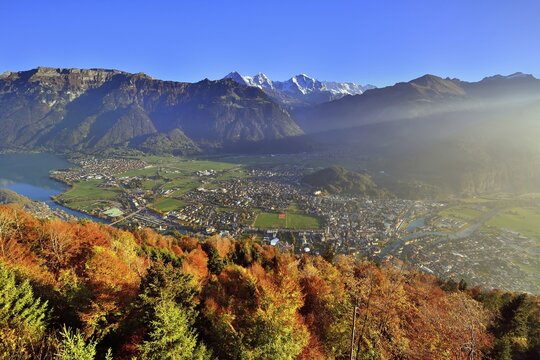 View from Harder Kulm to Interlaken and Bernese Alps, Canton Bern, Switzerland