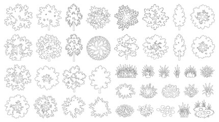 Minimal CAD Trees, Shrubs & Grass Symbols, Top-View Vector Outline Set for Landscape Design © Addictive Stock