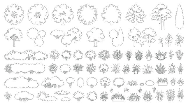 Minimal CAD Shrubs, Bushes & Grass Symbols, Vector Outline Set for Landscape & Garden Design