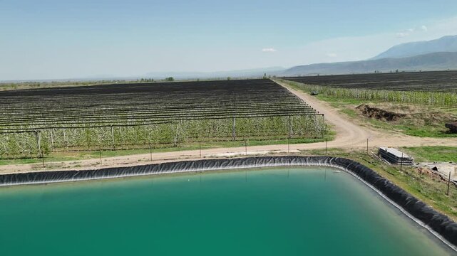 Aerial view of apple orchards with irrigation pond and storage hangars in Kazakhstan