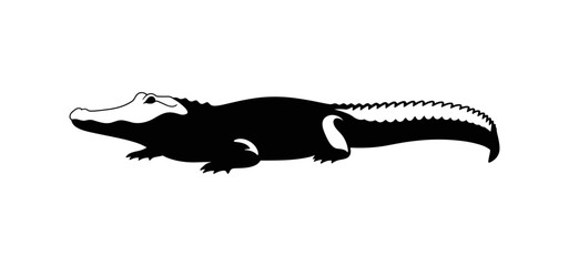 Fototapeta premium Alligator Silhouette Side View