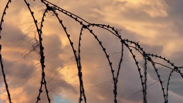 Coiled razor wire fence silhouette under a moody golden orange evening sky with thick clouds. Conceptual background of restriction, border security, or captivity. Prison yard, penal system security.