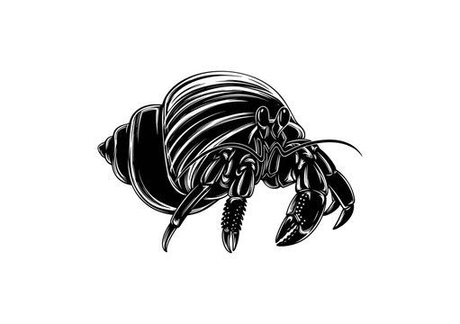 Hermit Crab Silhouette