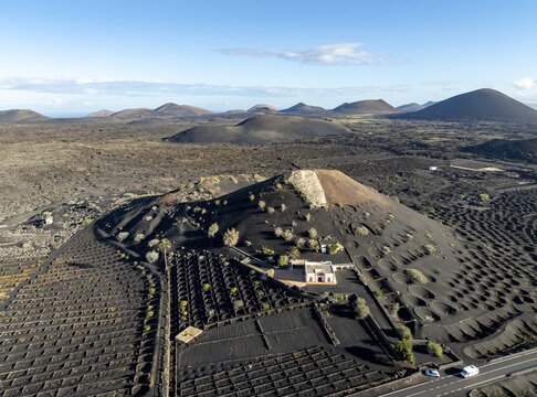 Typical drywall viticulture in volcanic landscape, on volcanic ash, lapilli, aerial view, vines, La Geria wine-growing region, Lanzarote, Canary Islands, Spain