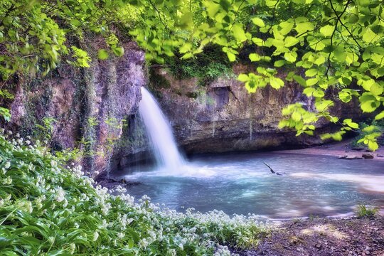 Waterfall in the forest with a small pond, wild garlic in bloom, Canton Basel-Landschaft, Switzerland