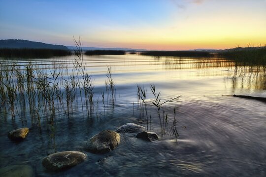 Gentle waves lapping reeds and stones on Lake Murten, atmospheric dawn, Canton of Fribourg, Switzerland