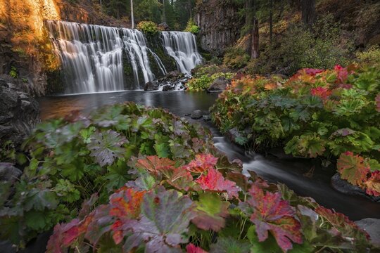 Middle Falls, Fall Waterfall, McCloud River, Siskiyou County, California, USA