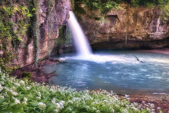 Waterfall with small pond, wild garlic in bloom, Canton Basel-Landschaft, Switzerland