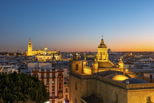 View from Metropol Parasol over the city, illuminated Cathedral of Seville with tower La Giralda, blue hour, Seville, Andalusia, Spain