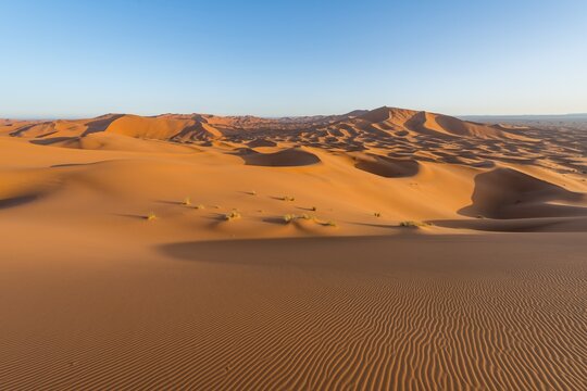 Red sand dunes in the desert, dune landscape Erg Chebbi, Merzouga, Sahara, Morocco