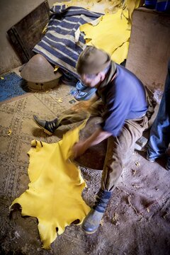 Worker working on leather, dying, tannery, Tannerie Chouara, tanner and dyer quarter, Fes el Bali, Fes, Kingdom of Morocco, Africa