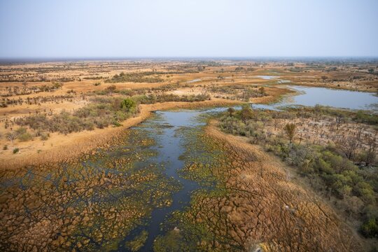 Wetland, landscape, aerial view of the Okavango Delta, near Maun, Okavango Delta, Botswana