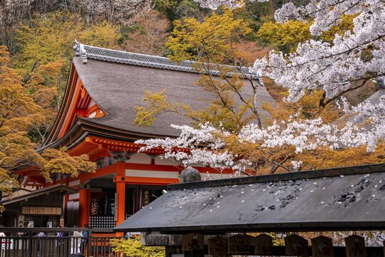 Okuno-in Hall of Kiyomizu-dera Temple, Buddhist Temple, Higashiyama, Kyoto, Japan
