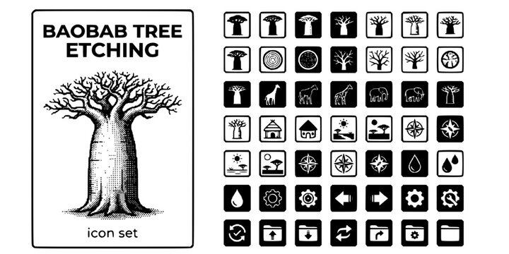 Baobab Tree Etching Black White-Thick Trunk Sparse Crown-African Tree Vector-Baobab Icon Etching-Savanna Nature Set