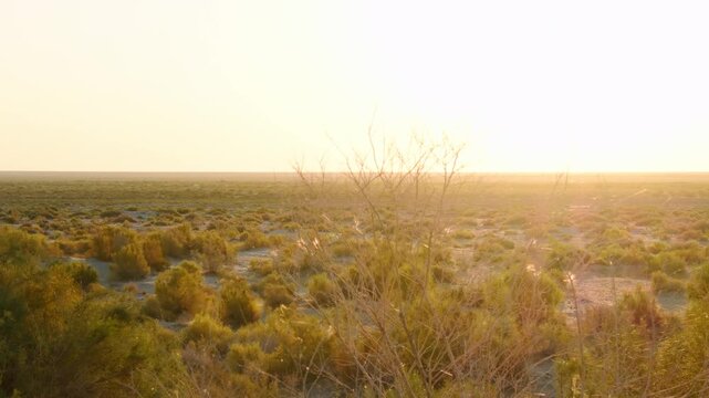 Moynaq Aralkum Desert panorama. A vast, sun-scorched landscape of sand and scrub bushes at the dried Aral Sea basin. Visual evidence of climate change and man-made environmental collapse in Uzbekistan