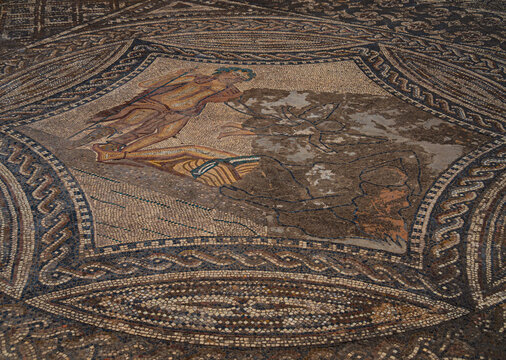 Roman mosaic depicting bacchus riding a panther in conimbriga