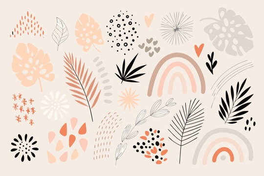 abstract botanical illustration with rainbow arches and floral elements