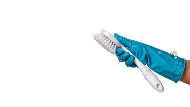 Human hand in a blue rubber glove holding a white utility scraper for home renovation on transparent background