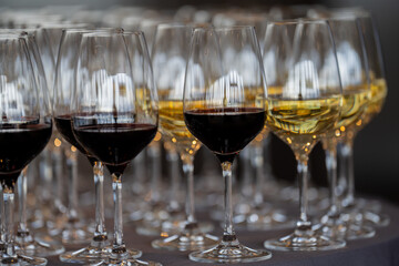 Fototapeta premium Many elegant wine glasses filled with red and white wine arranged in rows on a table for a professional tasting event, highlighting luxury hospitality and catering trends