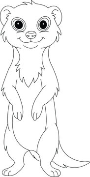 mongoose coloring page for kids