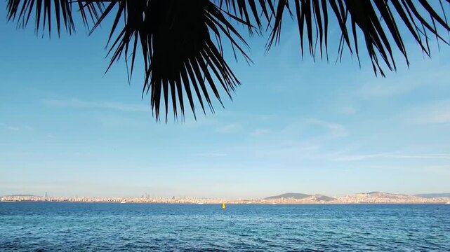 Panoramic View of Istanbul City Skyline Across the Marmara Sea from Kinaliada Island Shore Featuring Tropical Palm Tree Leaves Silhouette and Flying Birds in Clear Blue Sky