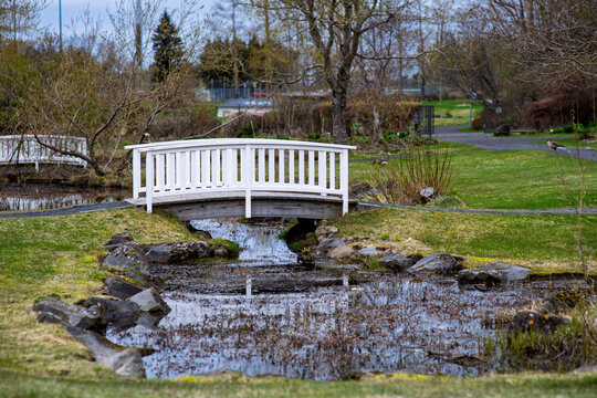 Small white wooden bridge over stream in park, peaceful garden landscape