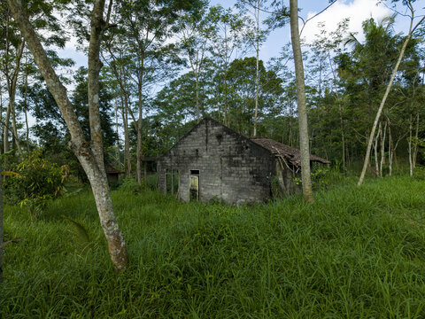 Aerial view of the abandoned houses damaged by Mount Merapi eruption surrounded by lush tropical trees and tall green grass in Cangkringan, Special Region of Yogyakarta, Indonesia.