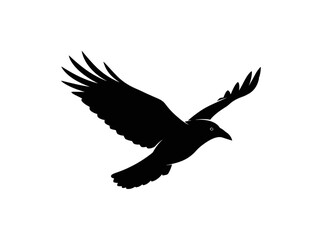 Fototapeta premium Silhouette of a Flying Bird