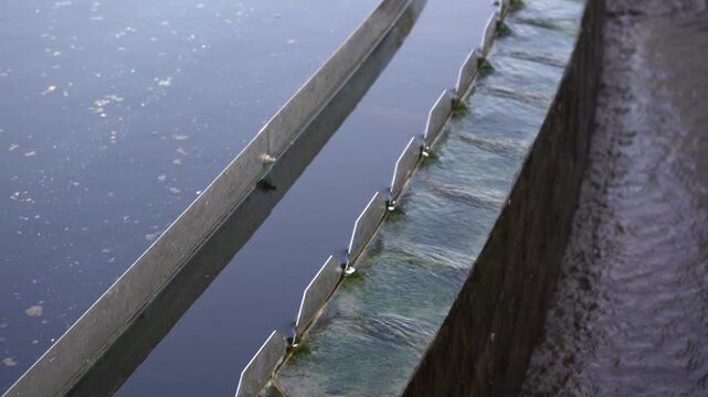 Cinematic panning close-up of water flowing over a V-notch weir in a wastewater clarifier tank. Essential B-roll for ESG, sustainable infrastructure, and environmental conservation projects.