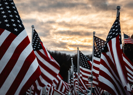 A field of American Flags blowing in the breeze at dusk