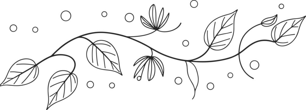 Black and white vine with leaves and circles plant