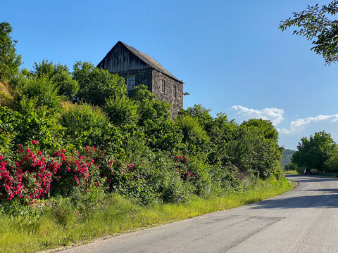 lonley house in the forest