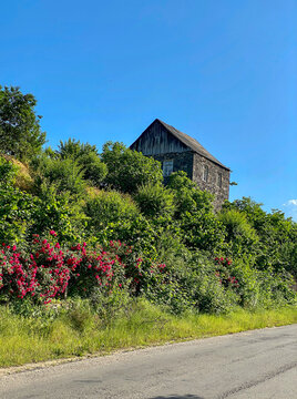 lonly house  in the village