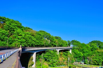 新緑の中津大橋 © TOMOCHAN