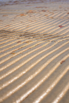Detailed sand ripple formations on beach surface under sunlight creating abstract pattern.