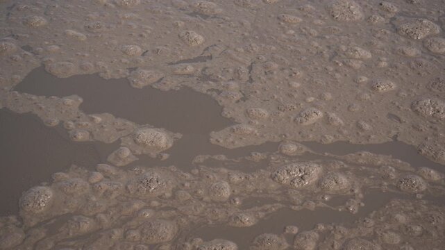 Extreme close-up of bubbling activated sludge floating in a wastewater treatment aeration tank. Essential B-roll illustrating water pollution, biological sewage treatment, and ESG infrastructure.