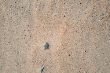 Fototapeta premium Natural Sand Texture with Small Stones and Soft Variation