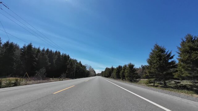 4K dashcam footage of a vehicle driving along a deserted rural road cutting through a dense spring forest with wooden utility poles beneath a bright blue sky.