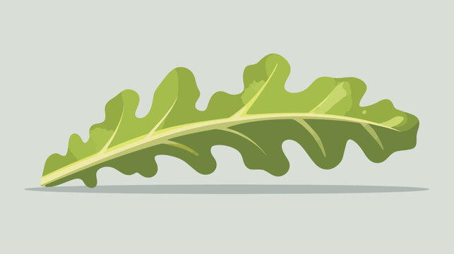 Digital illustration of a single leafy green vegetable leaf with detailed veins