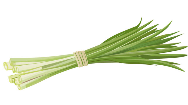 Illustration of fresh green chives bundled with rubber bands