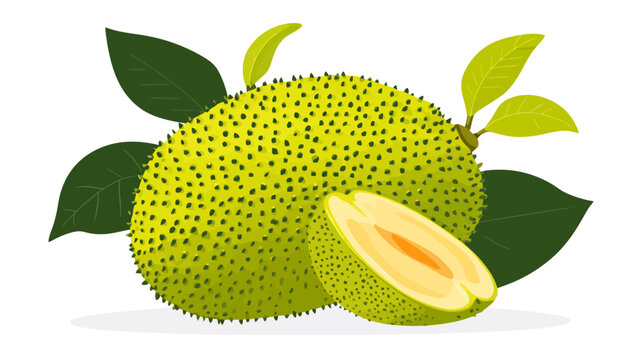 Bunch of soursop with leafy branches, close-up in digital illustration