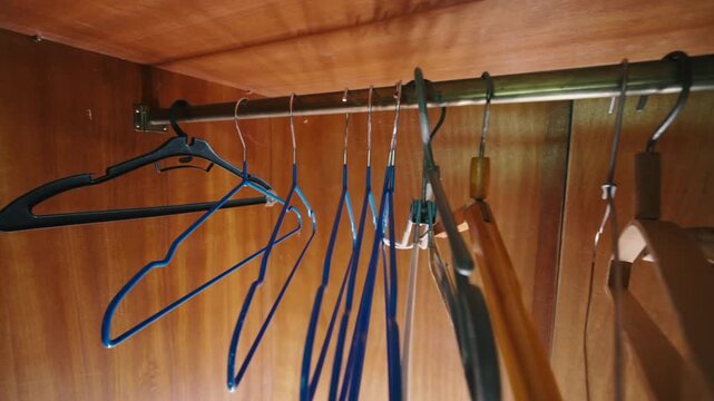 Empty Wooden Wardrobe with Many Clothes Hangers on Rail, Wide-Angle Interior View | Moving Out, Relocation or Minimalism Concept