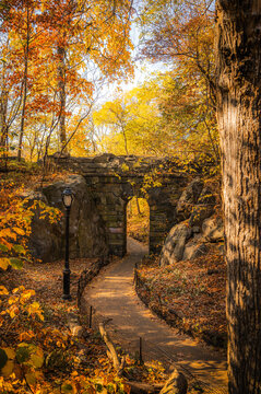 Scenic view of Central Park in autumn, New York City. Tourist attraction, vertical travel banner