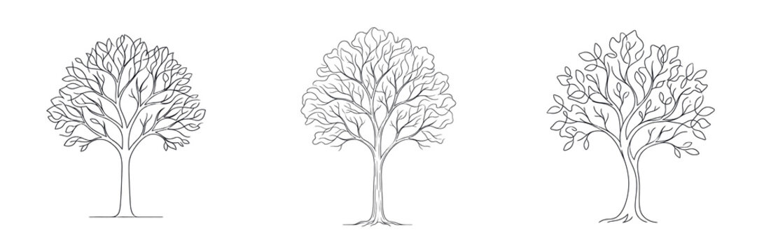 Set and collection of outline tree drawing isolated on white background