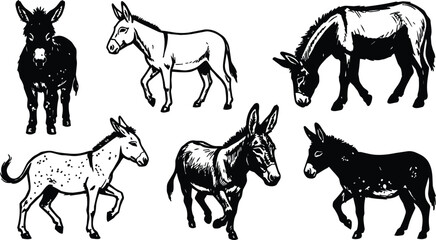 Fototapeta premium Black and white donkey sketches set six poses walking grazing standing vector art