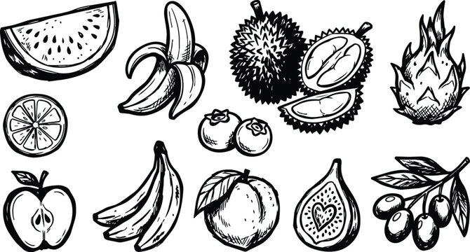 Black and white line art fruit collection with watermelon banana durian and dragon fruit