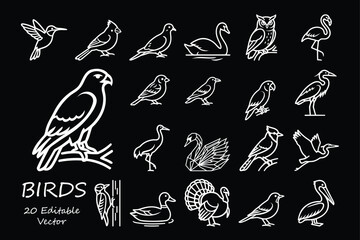 Obraz premium White bird line art icons on black background with eagle owl and flamingo silhouettes.