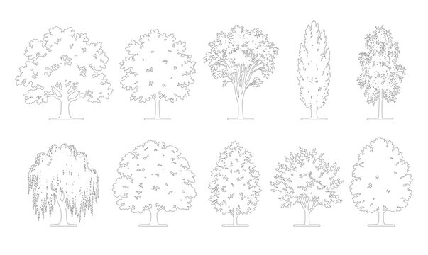
CAD line art bushy canopy, cypress and weeping tree side view elevation set, outline oval round and broad deciduous tree symbols for architectural landscape design plans. Editable stroke vector.